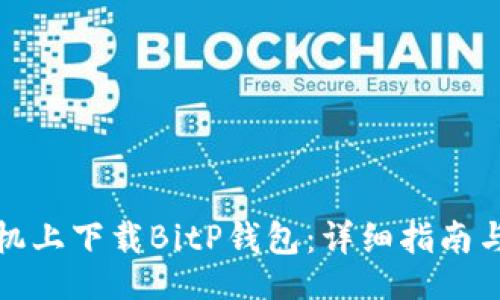 overall
如何在苹果手机上下载BitP钱包：详细指南与常见问题解答