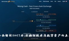全面解析SHCT币：区块链技术与数字资产的未来