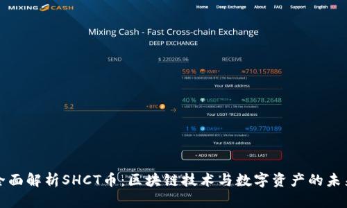 全面解析SHCT币:区块链技术与数字资产的未来