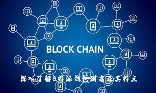 深入了解B特派钱包别名及其特点