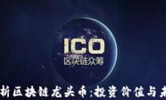 深入解析区块链龙头币：投资价值与未来展望