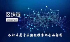各种币属于区块链技术的全面解析