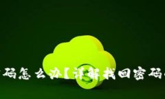 Bitpie钱包忘记密码怎么办？详解找回密码的步骤