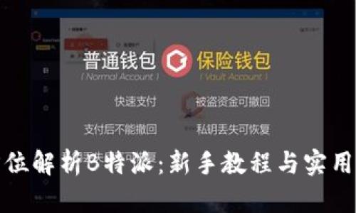全方位解析B特派:新手教程与实用技巧