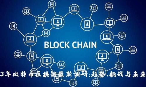 2023年比特币区块链最新调研:趋势、挑战与未来展望