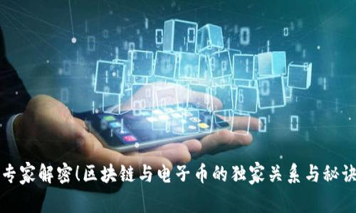 专家解密！区块链与电子币的独家关系与秘诀