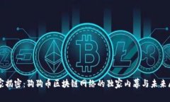 专家揭密：狗狗币区块链网络的独家内幕与未来