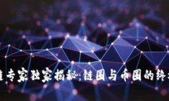 区块链专家独家揭秘：链圈与币圈的终极秘诀