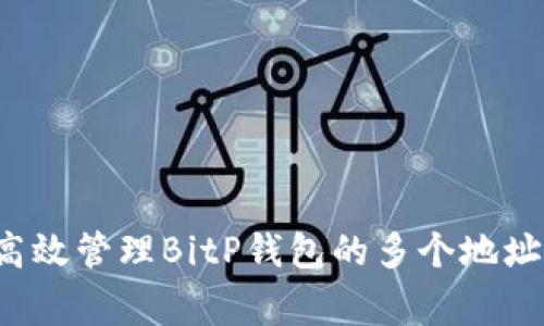 专家揭秘：如何高效管理BitP钱包的多个地址？独家秘诀分享！