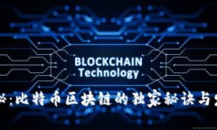 专家揭秘：比特币区块链的独家秘诀与发展前景