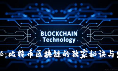 专家揭秘：比特币区块链的独家秘诀与发展前景