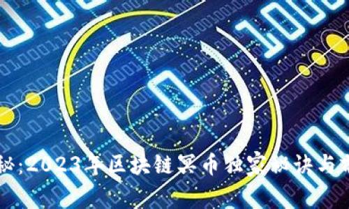专家揭秘：2023年区块链冥币独家秘诀与前景分析
