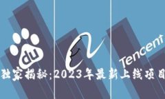 区块链专家独家揭秘：2023年最新上线项目及投资