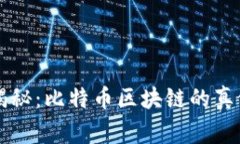 专家独家揭秘：比特币区块链的真假辨别秘诀