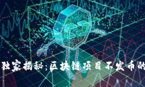 专家独家揭秘：区块链项目不发币的秘诀