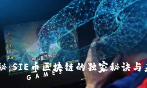 专家揭秘：SIE币区块链的独家秘诀与未来展望