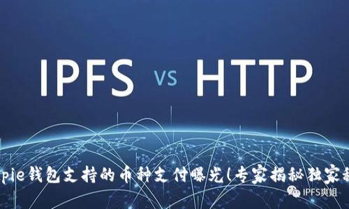 Bitpie钱包支持的币种支付曝光！专家揭秘独家秘诀