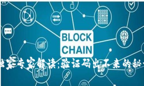 Bitkeep独家专家解读：验证码出不来的秘诀大公开！