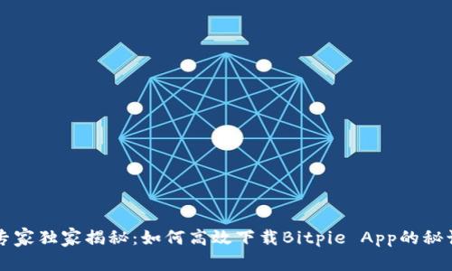 专家独家揭秘：如何高效下载Bitpie App的秘诀