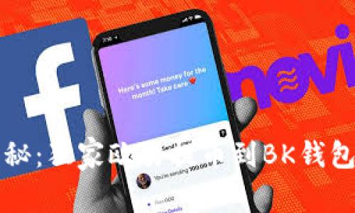 专家揭秘：独家欧易提币到BK钱包的秘诀