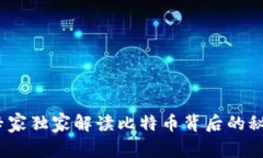 区块链揭秘：专家独家解读比特币背后的秘密与