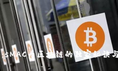 专家揭秘：sMAC币区块链的独家秘诀与未来展望