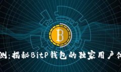 专家评测：揭秘BitP钱包的独家用户体验秘诀