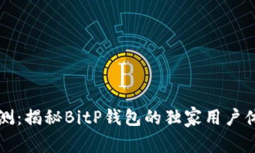 专家评测：揭秘BitP钱包的独家用户体验秘诀
