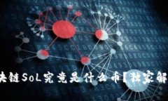 专家揭秘：区块链SoL究竟是什么币？独家解析其