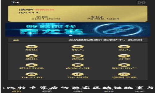 专家揭秘：比特币背后的独家区块链故事与成功秘诀