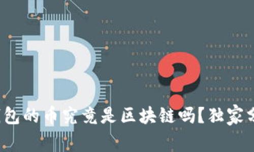 专家揭秘：有钱包的币究竟是区块链吗？独家分析与秘诀分享