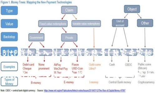 如何将BitP钱包导入到其他钱包账号？独家专家秘诀分享！

如何将BitP钱包导入到其他钱包账号？独家专家秘诀分享！