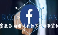 专家教你：比特币共识算法的独家秘诀