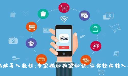 比特派地址导入教程：专家揭秘独家秘诀，让你轻松转入其他钱包