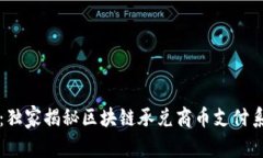 专家解读：独家揭秘区块链承兑商币支付系统的