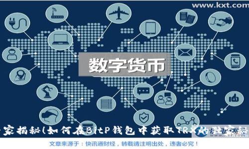 专家揭秘！如何在BitP钱包中获取TRX的独家秘诀