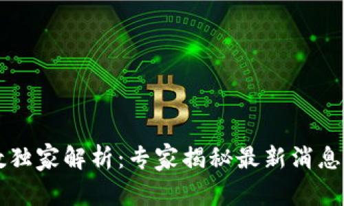 区块链指数独家解析：专家揭秘最新消息与发展秘诀