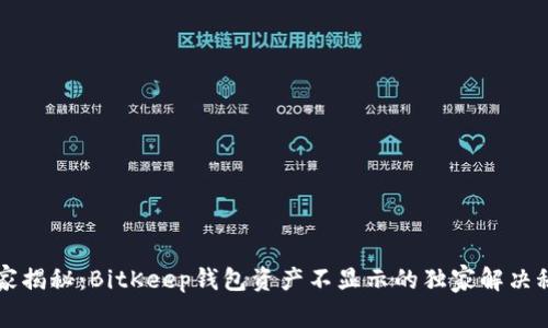 专家揭秘：BitKeep钱包资产不显示的独家解决秘诀