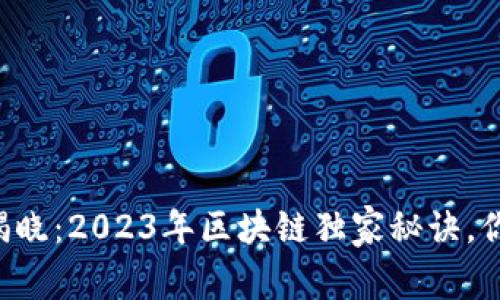 区块链专家揭晓：2023年区块链独家秘诀，你绝不能错过！