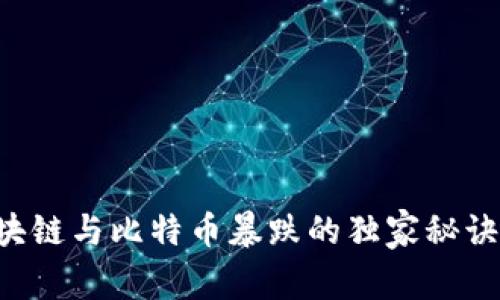 专家解析：区块链与比特币暴跌的独家秘诀，你不可不知！