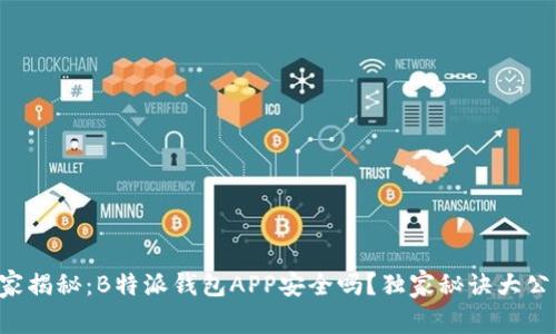 专家揭秘：B特派钱包APP安全吗？独家秘诀大公开！