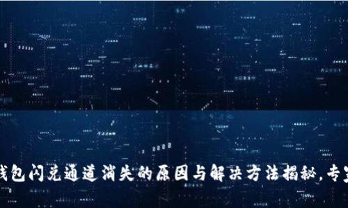 ### bk钱包闪兑通道消失的原因与解决方法揭秘，专家独家解读