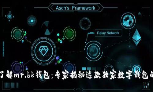 深入了解mr.bk钱包：专家揭秘这款独家数字钱包的秘诀