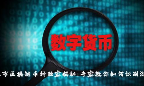 2023年最新上市区块链币种独家揭秘：专家教你如何识别潜力币种的秘诀