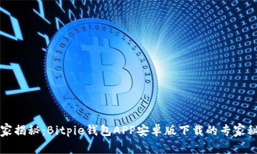 独家揭秘：Bitpie钱包APP安卓版下载的专家秘诀