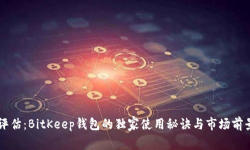 专家评估：BitKeep钱包的独家使用秘诀与市场前景分析