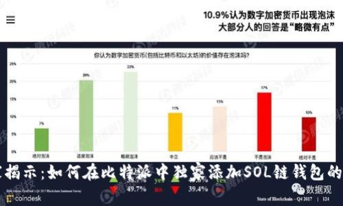 专家揭示：如何在比特派中独家添加SOL链钱包的秘诀
