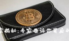 Pi币区块链的独家揭秘：专家告诉你背后的秘密与