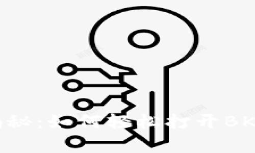 专家独家揭秘：如何轻松打开BK钱包的秘诀