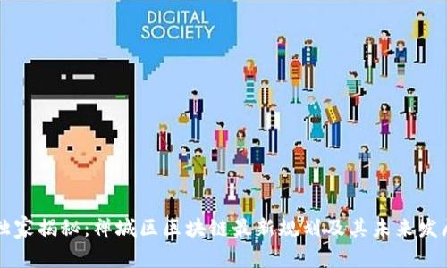 专家独家揭秘：禅城区区块链最新规划及其未来发展秘诀